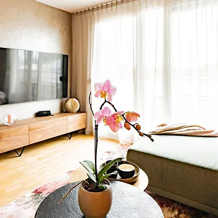 Of Apartment Singen